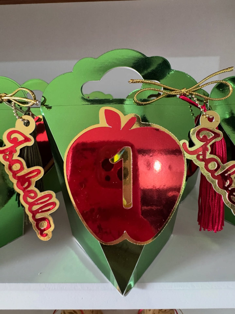 Kit 20 peças Premium Branca de Neve